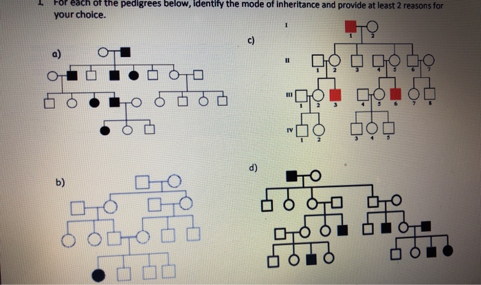 Solved For each of the pedigrees below, identify the mode of | Chegg.com