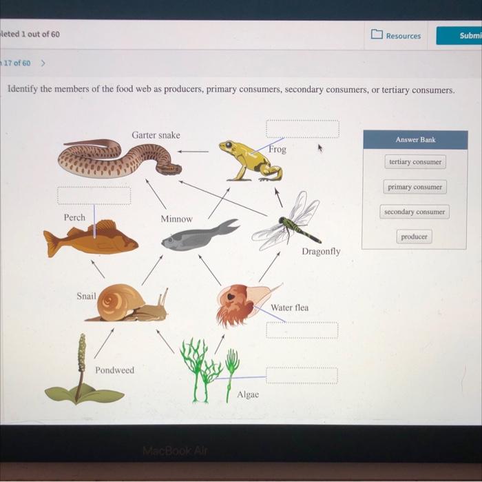 [Solved] Identify the members of the food web as producers