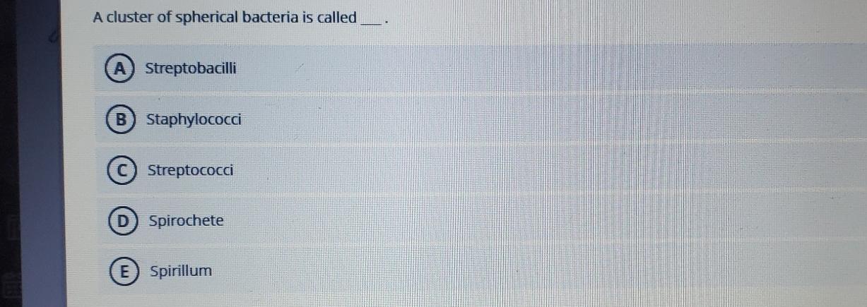 Solved A cluster of spherical bacteria is | Chegg.com