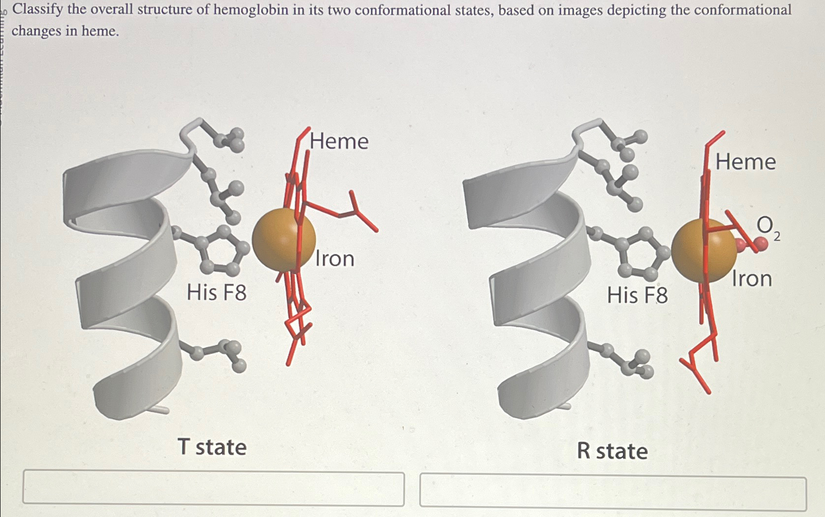 Solved Classify the overall structure of hemoglobin in its | Chegg.com