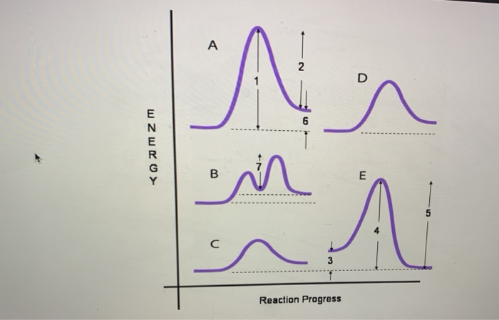 Solved Please help! the plots below show the energy profiles | Chegg.com