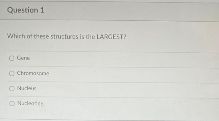 Solved Which of these structures is the LARGEST? Gene | Chegg.com