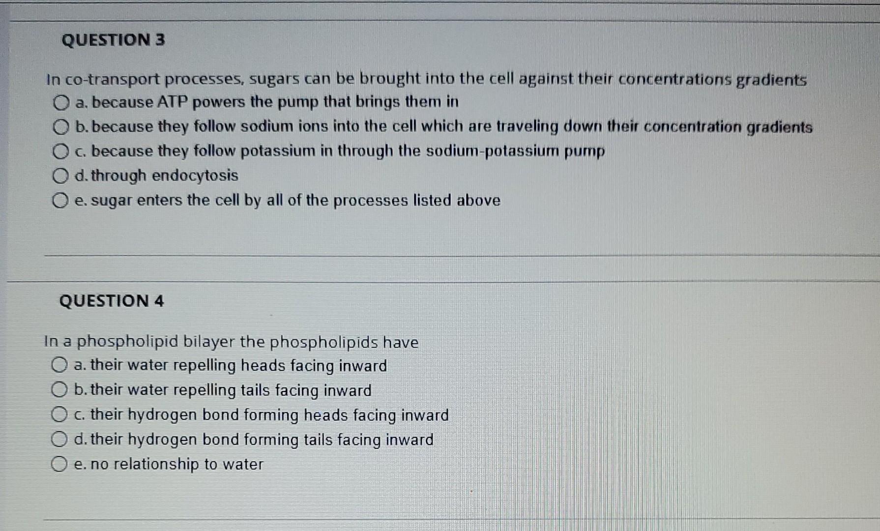 solved-in-co-transport-processes-sugars-can-be-brought-into-chegg