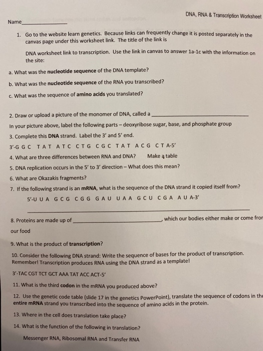 Dna Rna Transcription Worksheet Name 1 Go To The Chegg Com