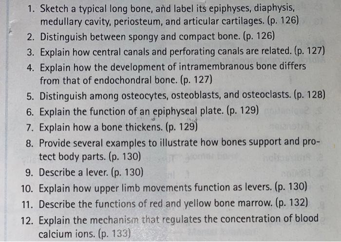 Solved 1 Sketch A Typical Long Bone And Label Its 7836