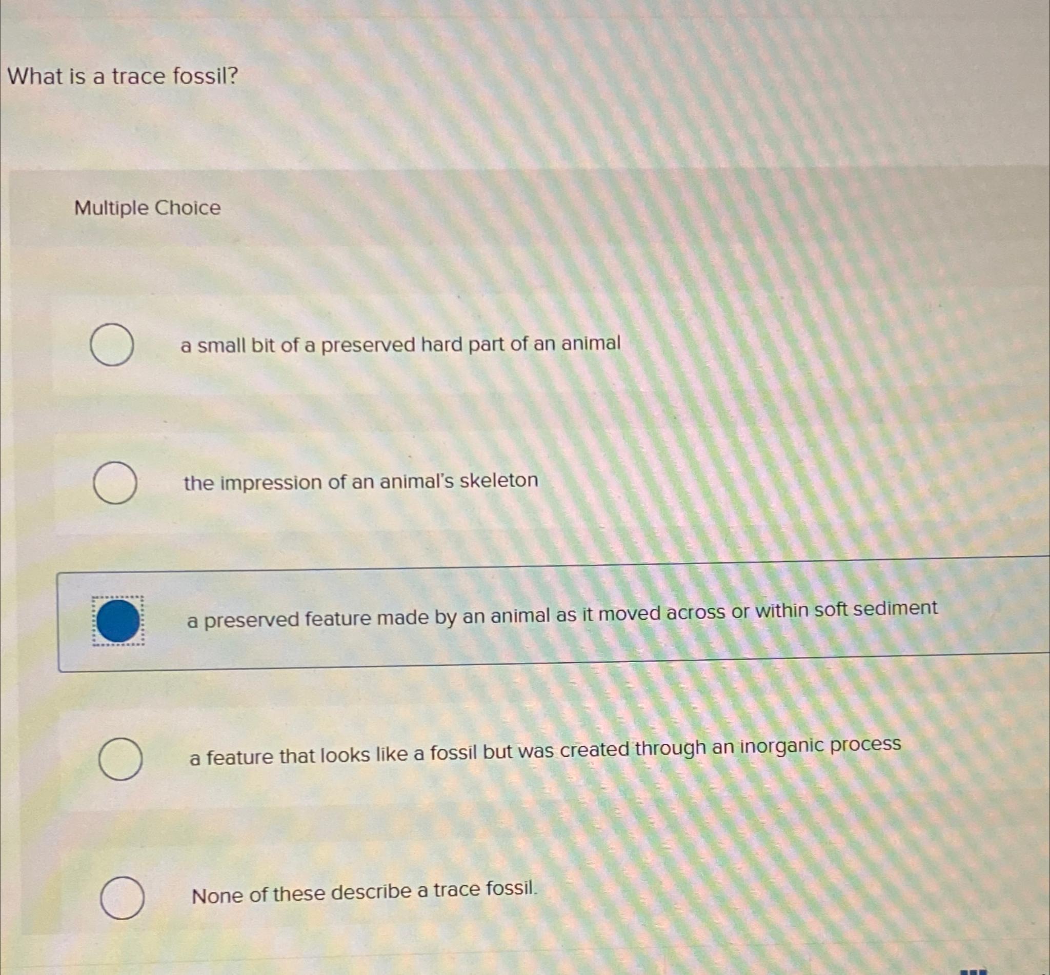 Solved What is a trace fossil?Multiple Choicea small bit of
