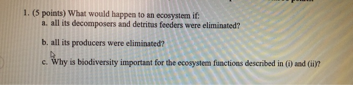 Solved 1 5 Points What Would Happen To An Ecosystem If