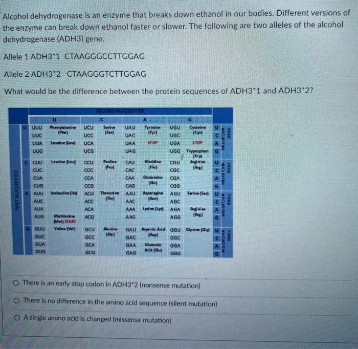 Solved Alcohol dehydrogenase is an enzyme that breaks down