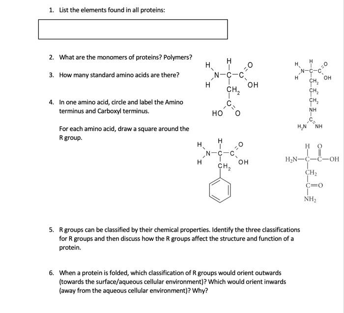 solved-1-list-the-elements-found-in-all-proteins-2-what-chegg