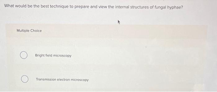 Solved What Would Be The Best Technique To Prepare And View 