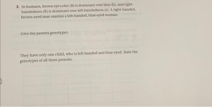 Solved 3 In Humans Brown Eye Color B Is Dominant Over