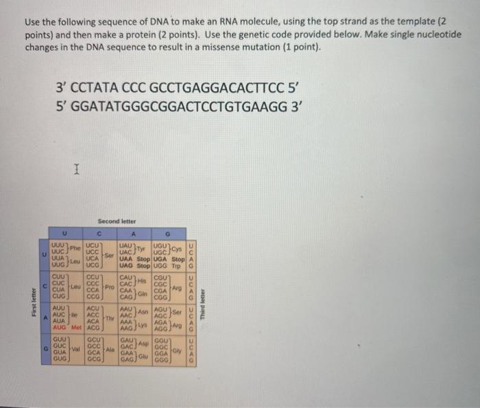 Solved Use the following sequence of DNA to make an RNA | Chegg.com