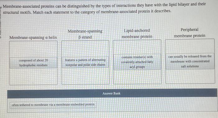 Solved Membrane-associated proteins can be distinguished by | Chegg.com