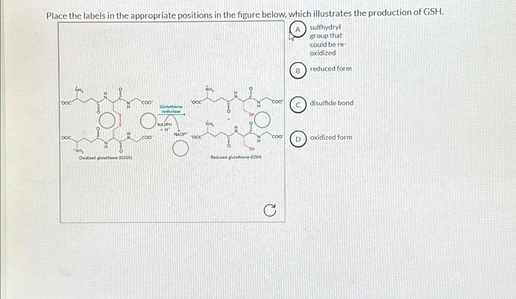 neurobiologix glutathione cream Comprehensive elucidation of glutathione import in Escherichia coli