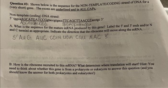 Solved Question #3: Shown below is the sequence for the | Chegg.com