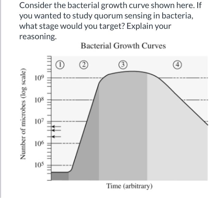 Solved Consider the bacterial growth curve shown here. If | Chegg.com
