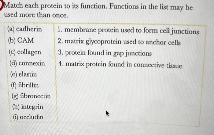 Solved Match each protein to its function. Functions in the | Chegg.com
