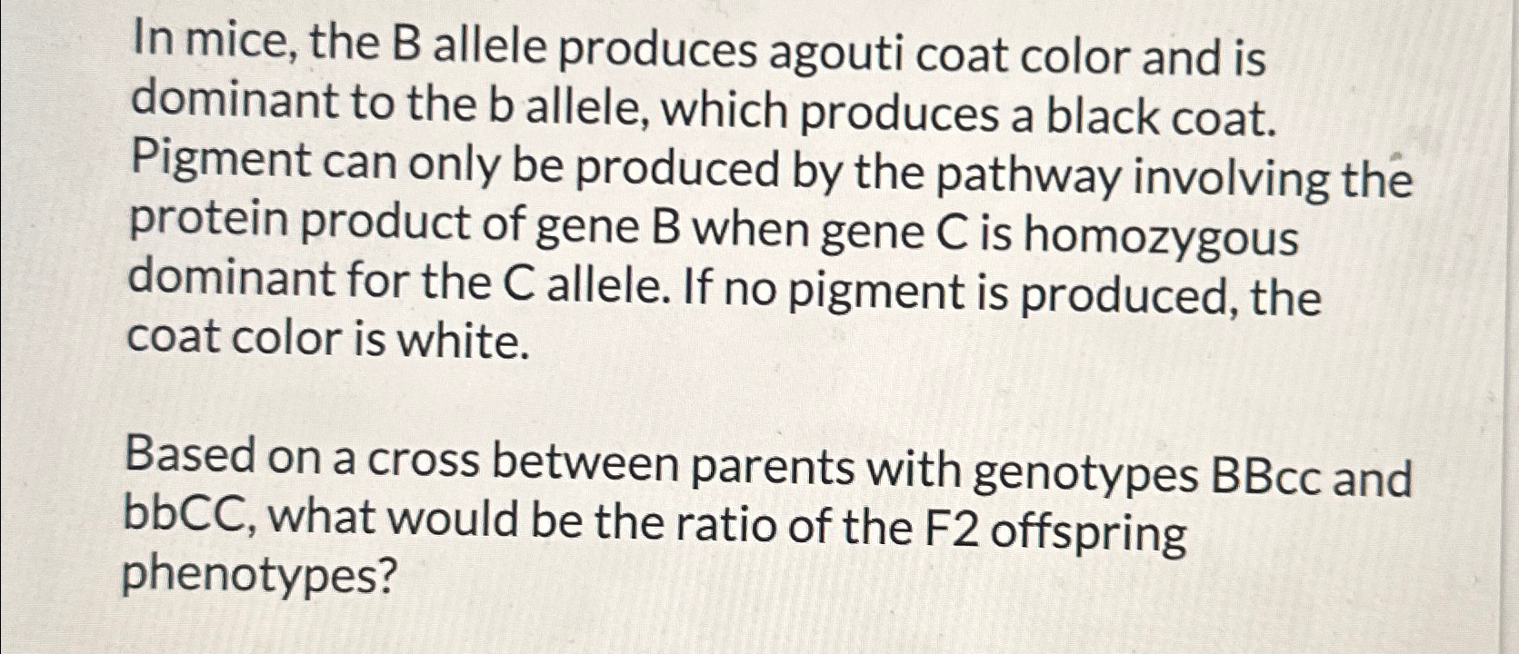 Solved In mice, the B allele produces agouti coat color and