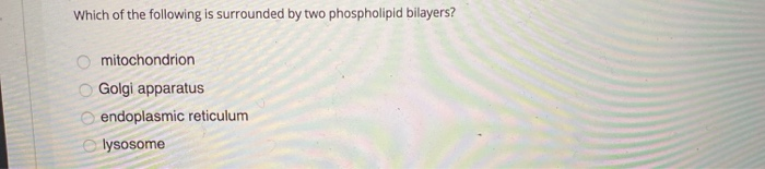 Solved Which Of The Following Is Surrounded By Two | Chegg.com Solved Which Of The Following Is Surrounded By Two | Chegg.com