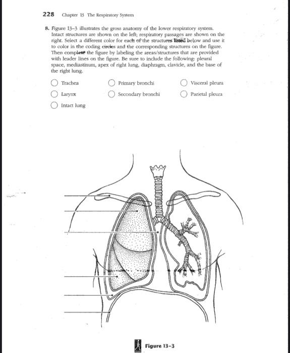 An American text-book of physiology . Fig. 219.Diagram explaining