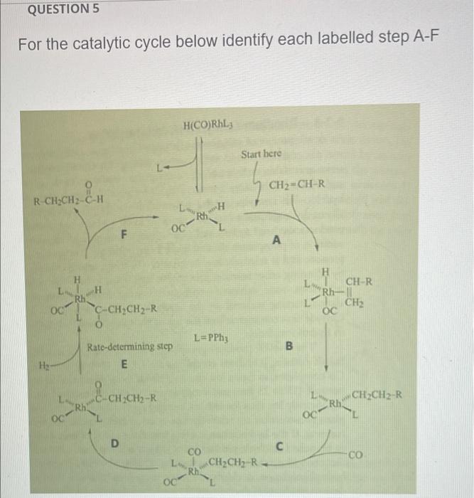 Solved QUESTION 5 For the catalytic cycle below identify | Chegg.com