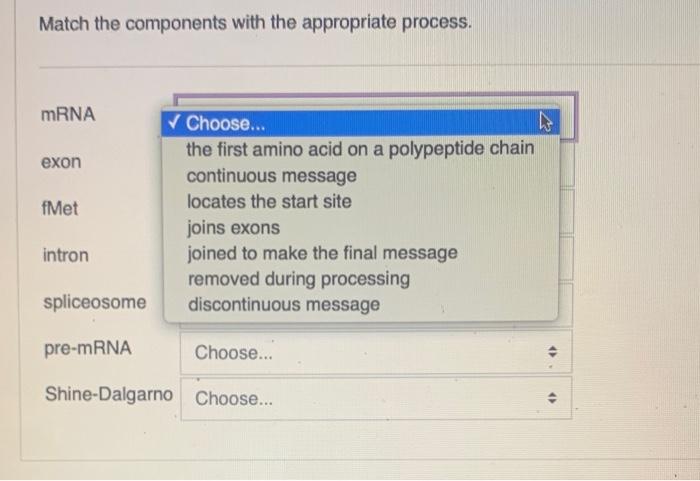 Match the components with the appropriate process.