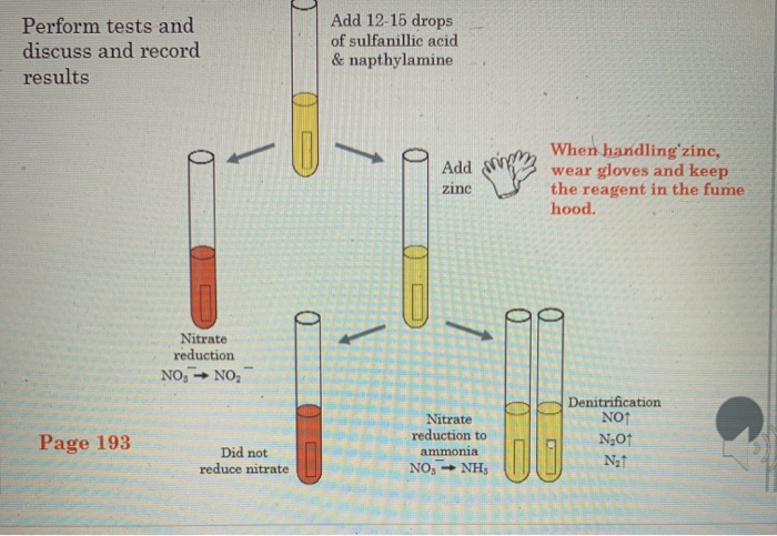 Nitrate Reduction Test- Principle, Procedure, Types, Results, Uses