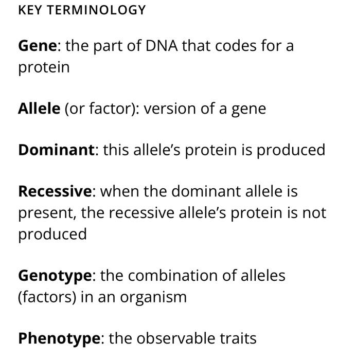 Solved KEY TERMINOLOGY Gene the part of DNA that codes for
