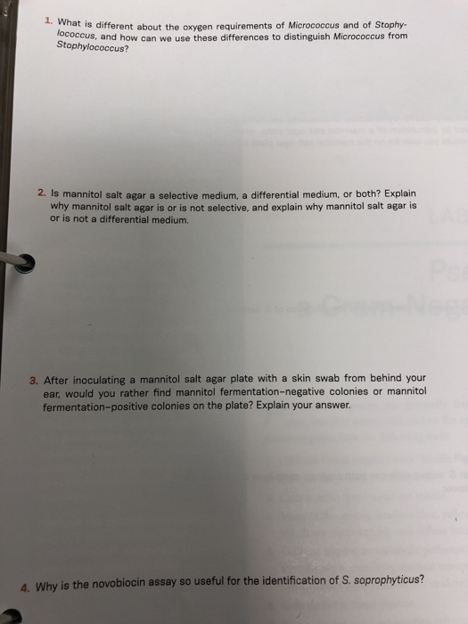 Solved 1. What is diffe That is different about the oxygen | Chegg.com