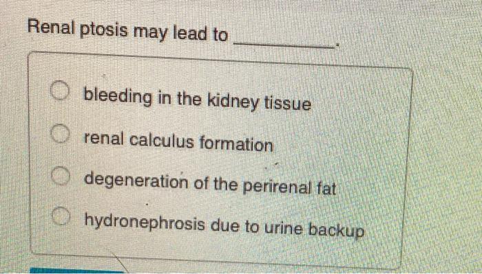 Solved Renal ptosis may lead to bleeding in the kidney | Chegg.com