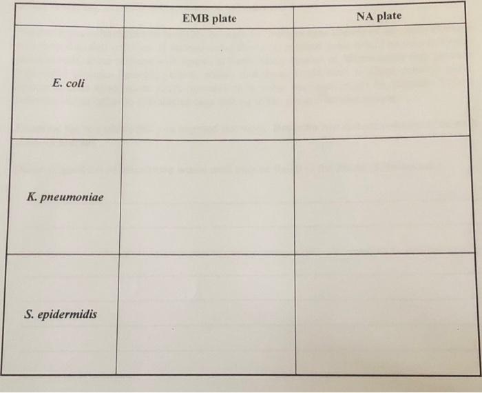 EMB plate NA plate E. coli K. pneumoniae S. epidermidis