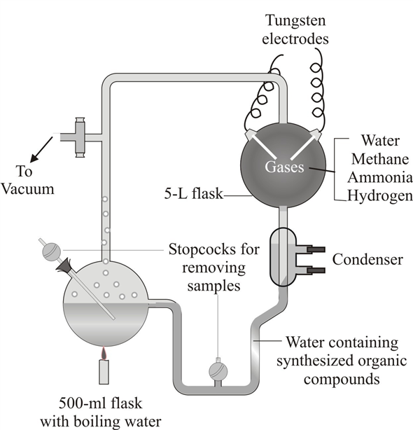 Solved: Explain The Significance Of The Miller-Urey Experiments ...