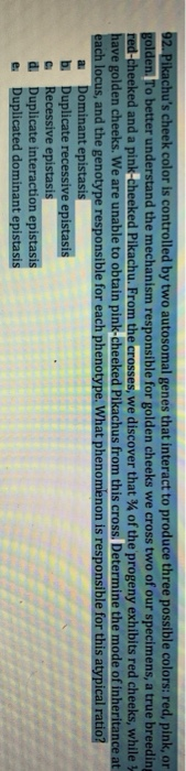 Solved 92. Pikachu's cheek color is controlled by two | Chegg.com