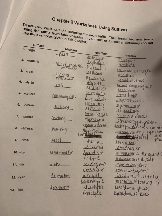 solved-directions-write-out-the-meaning-for-each-suffix-chegg