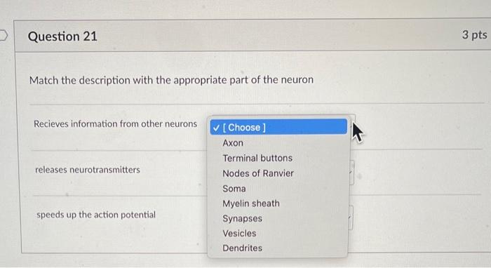 Solved Match the description with the appropriate part of | Chegg.com