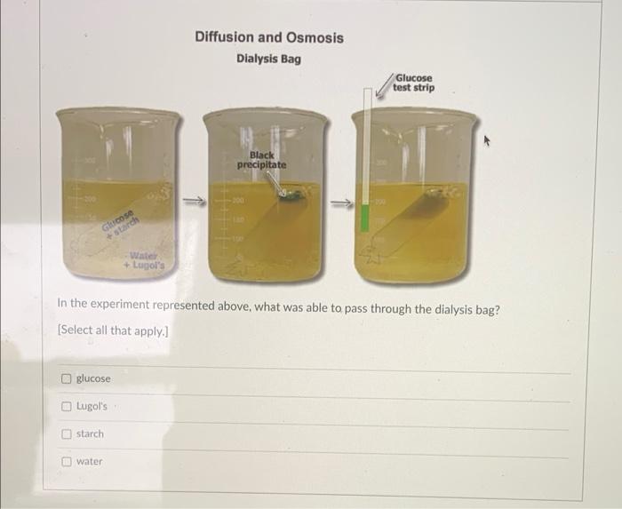 dialysis tubing glucose starch diffusion