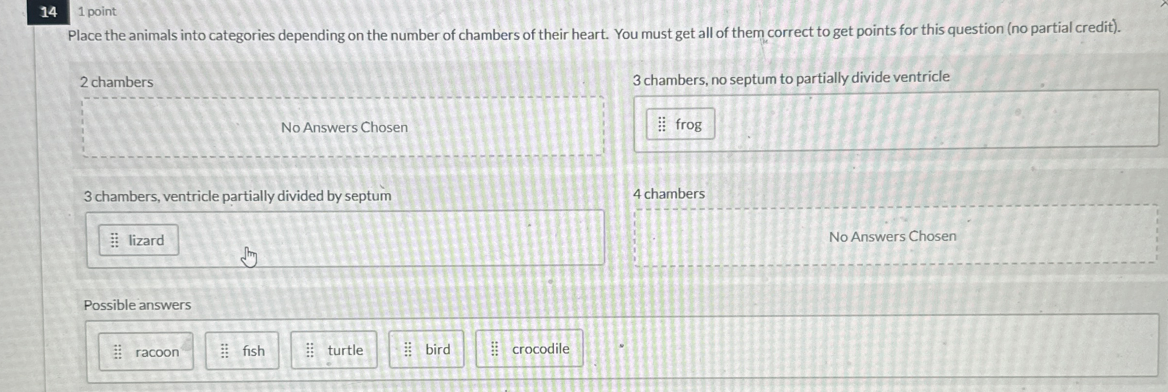 [Solved] 14 1 point Place the animals into categories depen
