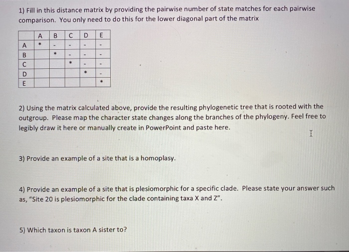Solved Instructions: Use the DNA sequence alignment of 5 | Chegg.com