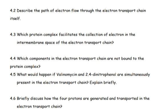 Solved 4.2 Describe the path of electron flow through the | Chegg.com