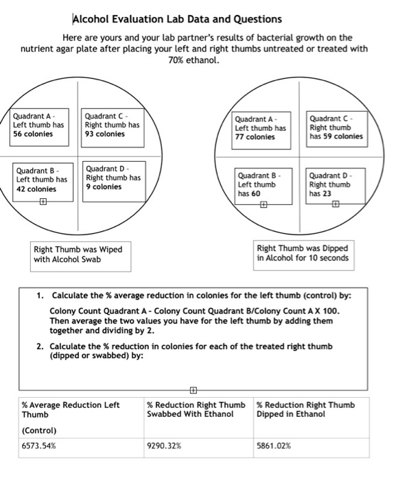 Solved Alcohol Evaluation Lab Data and Questions Here are | Chegg.com