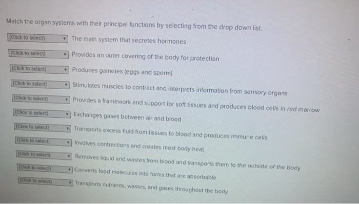 Solved Match The Organ Systems With Their Principal 