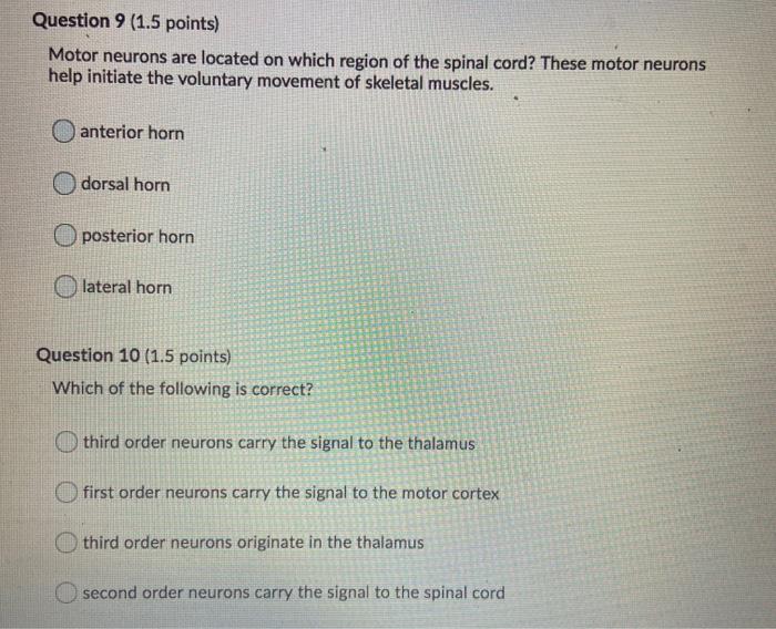 Solved Question 9 (1.5 points) Motor neurons are located on | Chegg.com