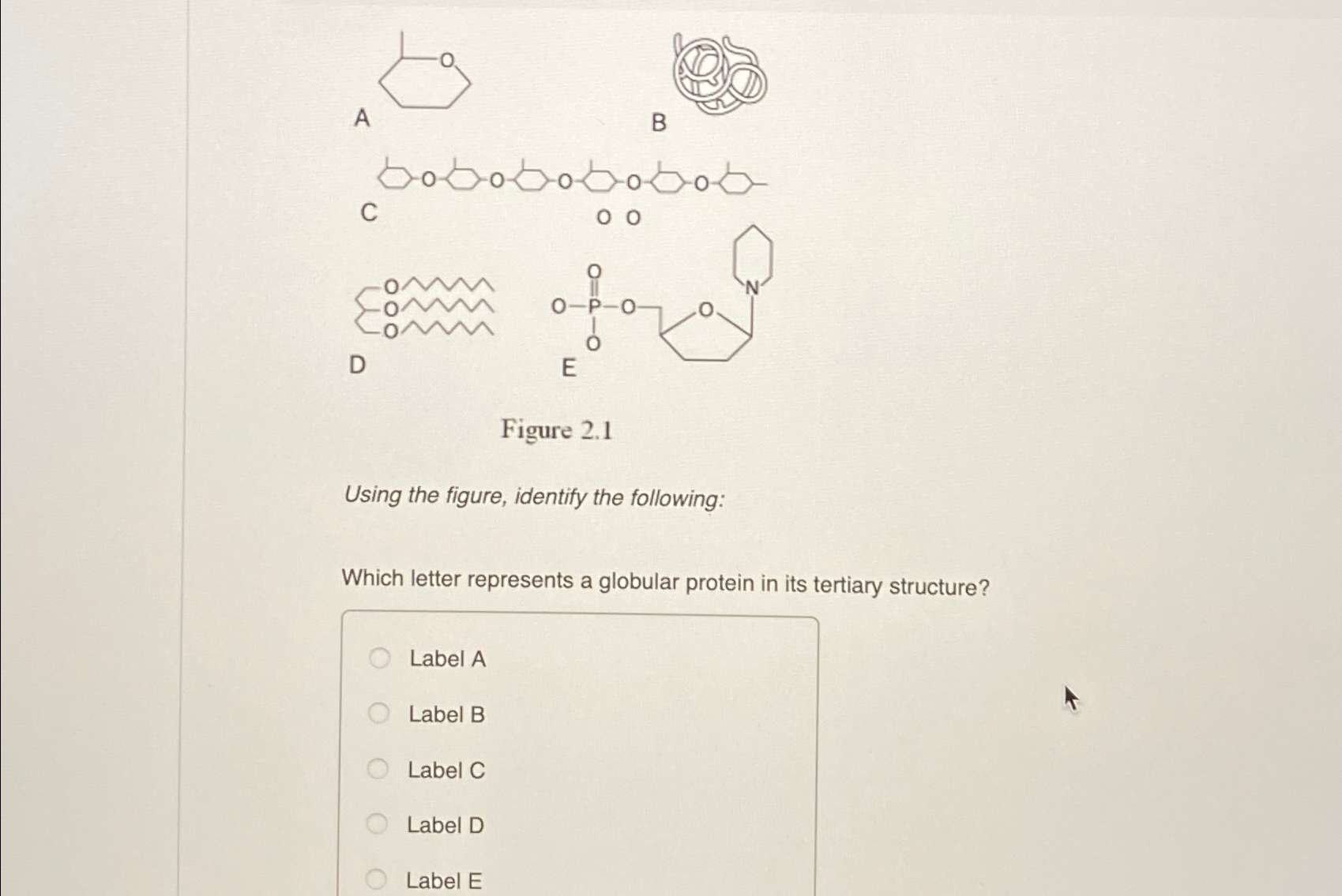 Solved Using the figure, identify the following:Which letter | Chegg.com