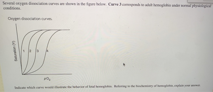 Solved Several oxygen dissociation curves are shown in the | Chegg.com