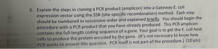 Solved 6. How would you verify that the PCR product was | Chegg.com