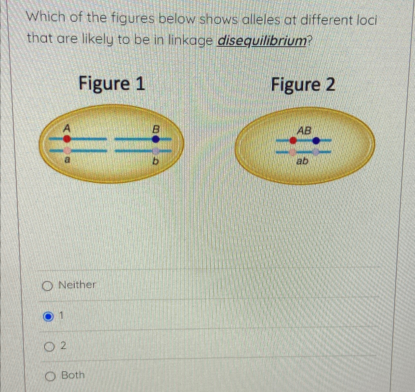 Solved Which of the figures below shows alleles at different | Chegg.com