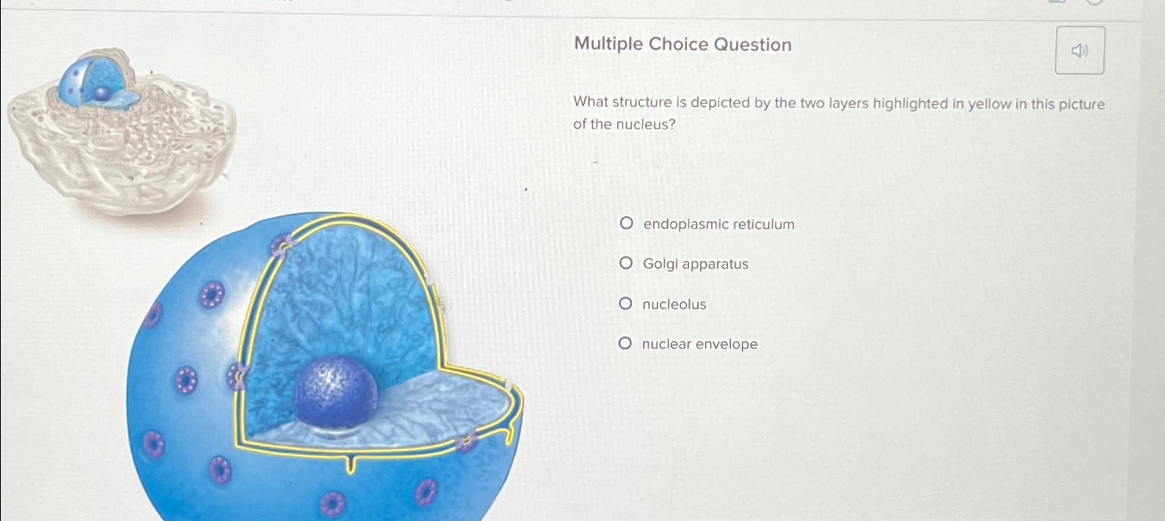 Solved Multiple Choice QuestionWhat structure is depicted by | Chegg.com