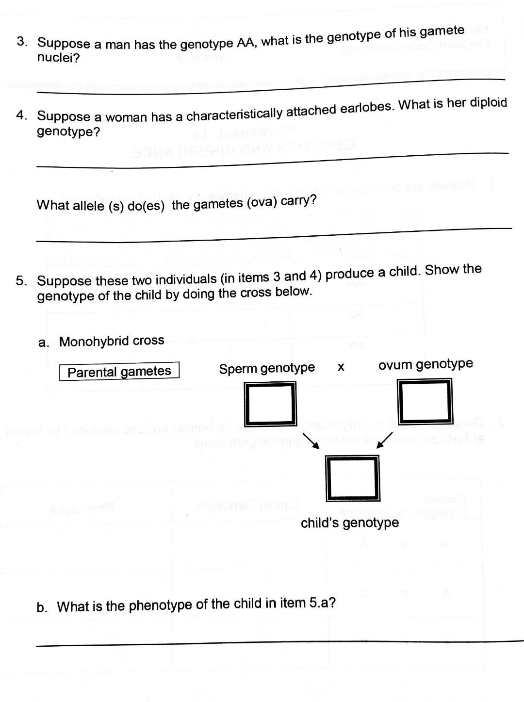 Solved 1. Indicate the possible genotypes of the gamete for | Chegg.com