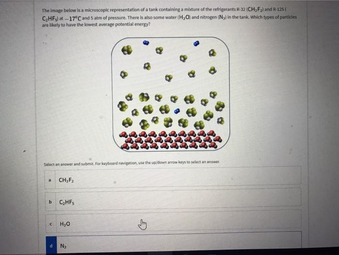 Solved The Image Below Is A Microscopic Representation Of A Chegg Com