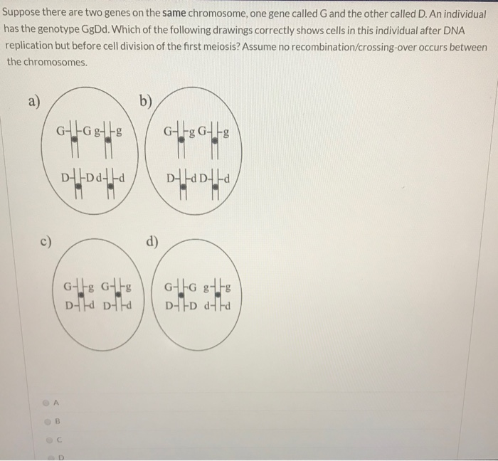 Solved Suppose there are two genes on the same chromosome, | Chegg.com
